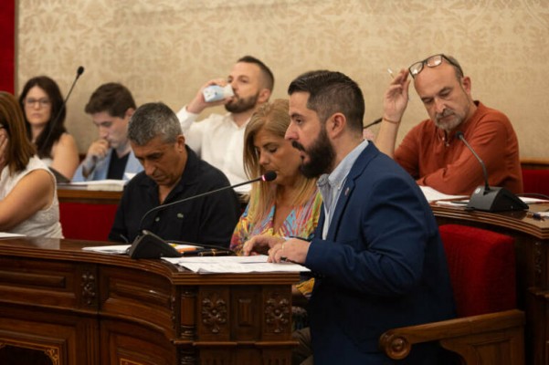 Vox también reta al PP de Alicante a convocar un pleno específico sobre la Ley de Amnistía