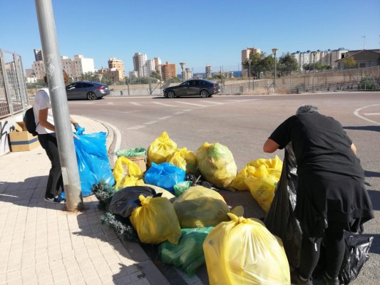 Voluntarios y alumnado de El Campello limpia de residuos el cauce del río Seco