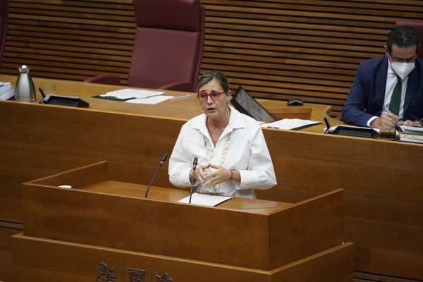 El PP pide que la Comunitat gestione el Ingreso Mínimo Vital por el desinterés de Gobierno