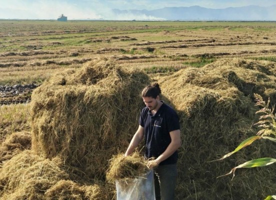 El Ivace financia un proyecto que da otra vida a residuos vegetales en forma de adhesivos y envases