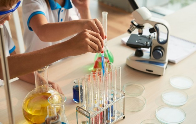 Treinta proyectos de investigación de la Comunitat Valenciana optan a los Premios Sapiència