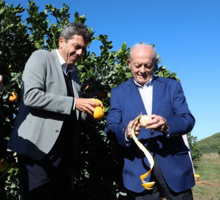 Mazón promete 