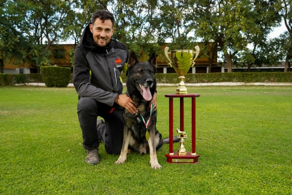 Un perro campeón 