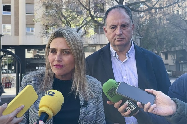 Marta Barrachina eleva al pleno de la Diputación Provincial el rechazo a la amnistía