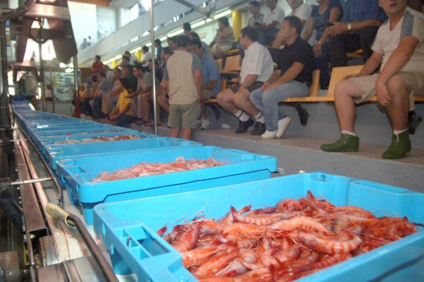 Todo el pescado fresco de lonja de la Comunitat adoptará una misma marca colectiva