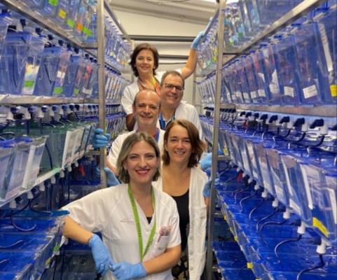 La UMU y el IMIB desarrollan un nuevo tratamiento contra enfermedades genéticas poco comunes
