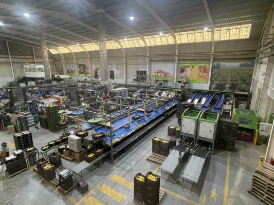 La cooperativa almeriense Albentillas se une a la librillana Toñifruit para impulsar el cultivo ecológico