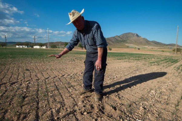 La cuenca del Segura mantiene el escenario de alerta por sequía por tercer mes consecutivo