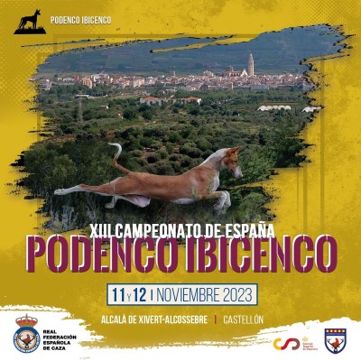 Alcalà de Xivert acoge el XIII Campeonato de España de Podenco Ibicenco


