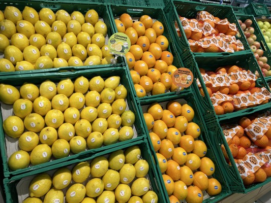 Masymas comprará 950 toneladas de cítricos valencianos esta campaña, un 17% más 
