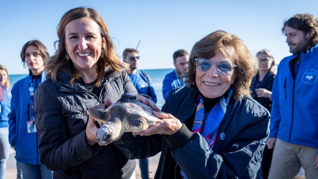 La exploradora marina Sylvia Earle suelta al mar en València a la tortuga recuperada 
