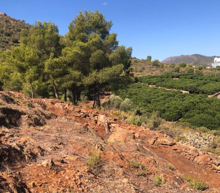 Ajuntament d'Almenara - 