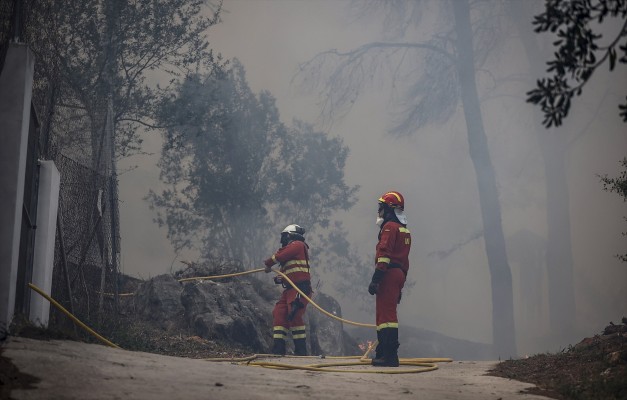 La Delegación convoca a los municipios para abordar las ayudas por el fuego de Montitxelvo