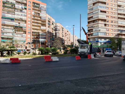 Un arbolado monumental en la plaza Díez de Revenga de Murcia rendirá homenaje a Ricardo Codorníu