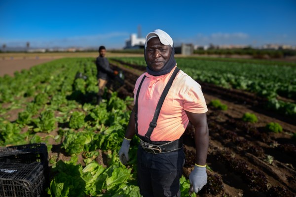 El ‘llaurador’ de Senegal