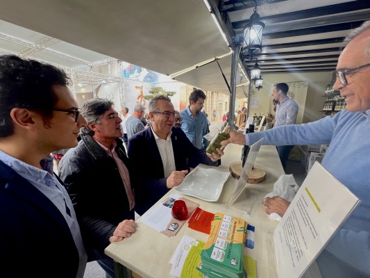 Pérez destaca el papel de la Fira de Tots Sants como escaparate de Alicante y polo turístico