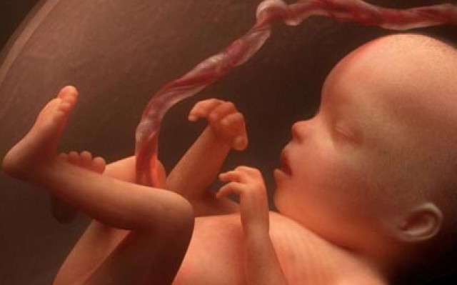 El trasplante de sangre de cordón umbilical no requiere compatibilidad completa