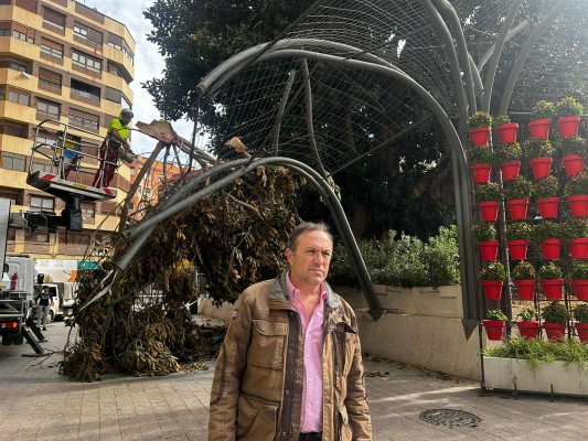 Gestoso (Vox) pide que se rehabilite la valla del ficus de Santo Domingo y un estudio sobre su salud