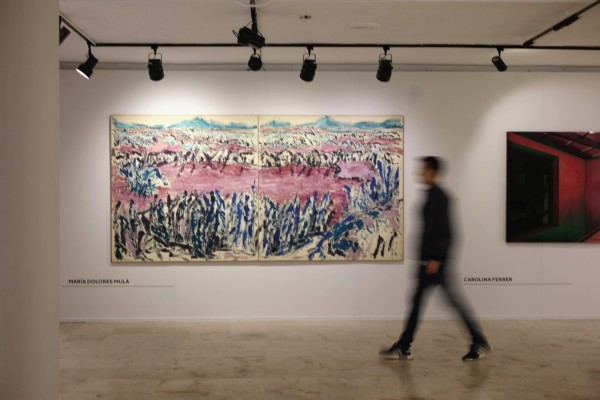 El Consorci muestra en Guardamar del Segura la colección de arte contemporáneo de la Generalitat