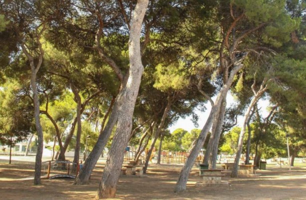El viento provoca el cierre del Pinar y caída de árboles, farolas y señales de tráfico en Castelló
