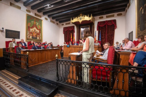 Reglamento Orgánico Municipal en Elche