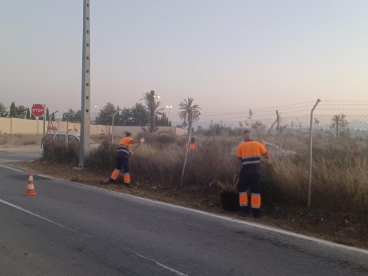 Dispositivo especial de limpieza en el entorno del cementerio de Alicante por 'Todos los Santos'