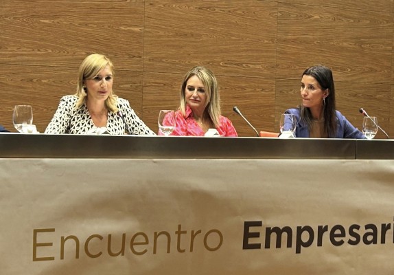 Cultura, Hacienda, Medio Ambiente e Innovación ven reducido su presupuesto para 2024
