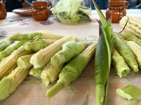 Camarena también apuesta por los agricultores locales para su restaurante en México