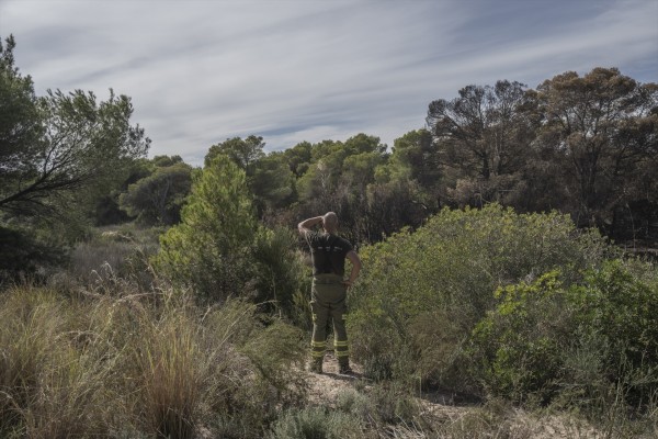 Detenido el presunto autor de los incendios en el Parque Natural de El Saler