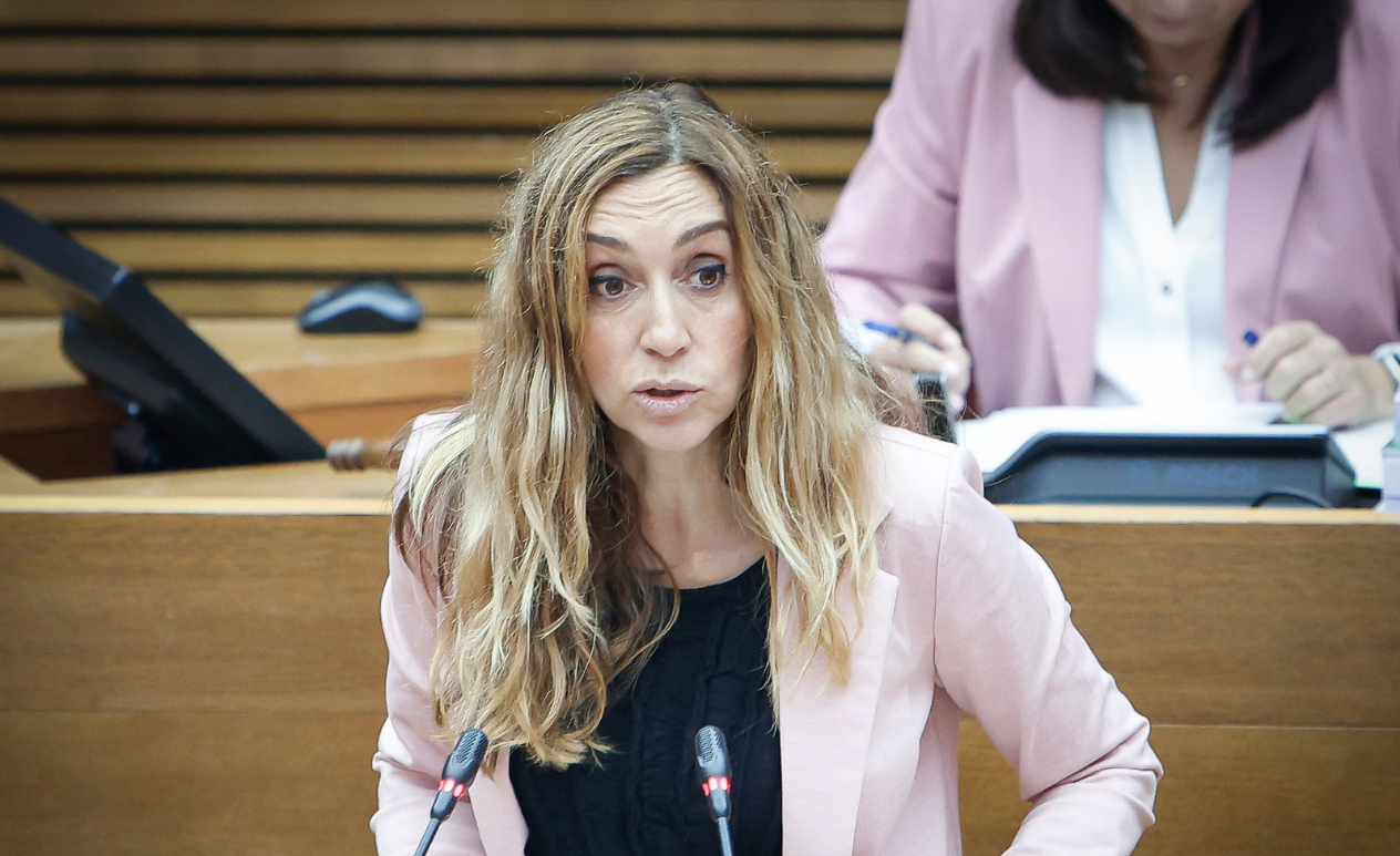 Fuego dialéctico cruzado en Les Corts a cuenta del conflicto entre Israel y Palestina
