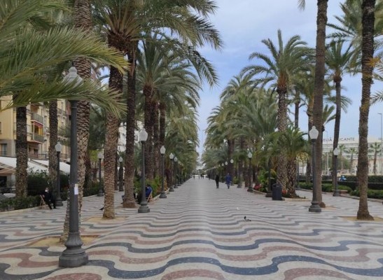 Alicante sopesa presentar denuncia frente a la venta de teselas de La Explanada por internet