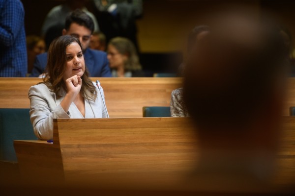 La oposición aprueba una moción sobre la Zona de Bajas Emisiones por ausencia de ediles de PP y Vox