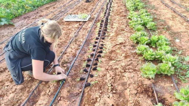 La agricultura regional perderá hasta 1.230 millones en 7 años por culpa del cambio climático
