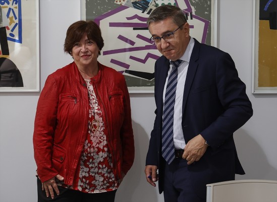 Rovira entrega a la AVL sus criterios del valenciano: más cercano a la 