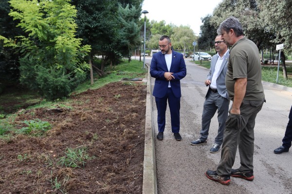 Vila-real controlará la plaga de jabalíes del Termet con trampas jaula en la piscina municipal