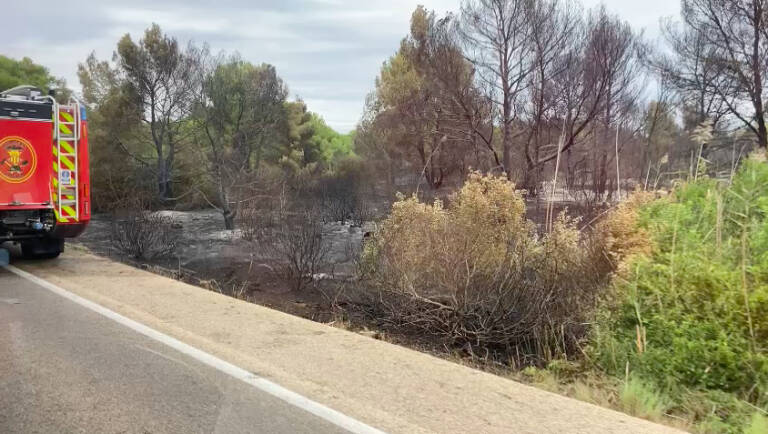 Tres brigadas forestales repasan el perímetro del incendio de El Saler de València
