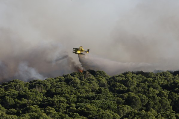 El incendio de este sábado en El Saler es el noveno declarado en la zona desde el mes de agosto