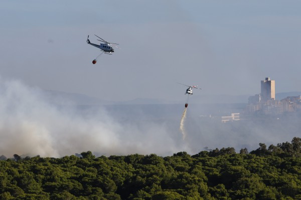 Otro incendio en El Saler, tres días después del último