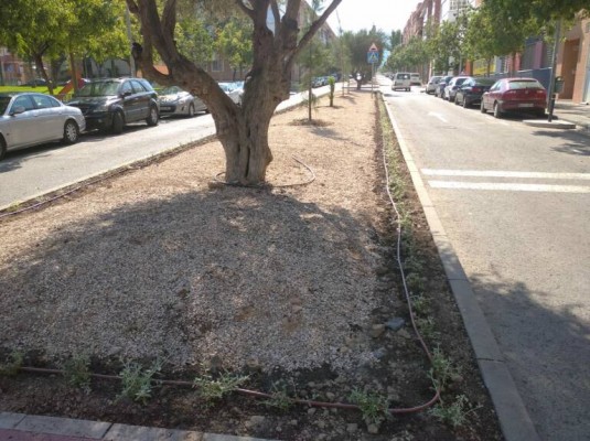Cinco calles de El Palmar tendrán pavimento más seguro tras una inversión de 165.451 euros