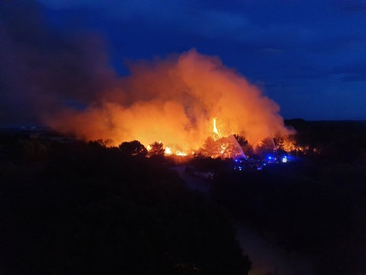 Un nuevo incendio en El Saler moviliza a una decena de dotaciones de bomberos