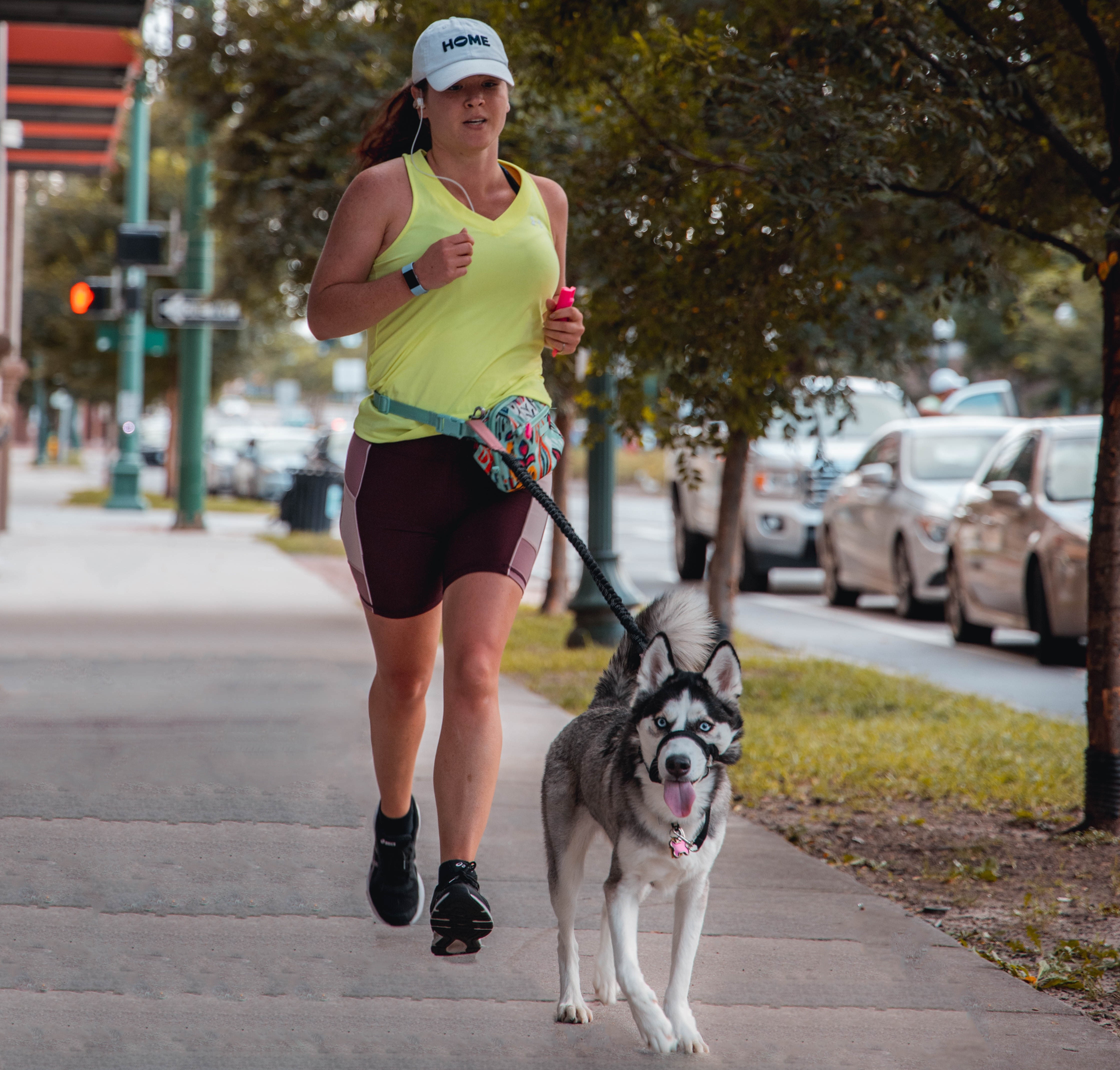 Correr con mascotas: el compañero fiel del runner