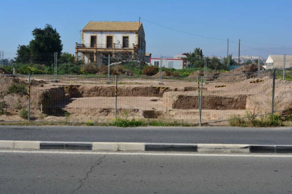 Elche y Cultura activan la comisión técnica del palmeral, necesaria para desbloquear licencias y sectores