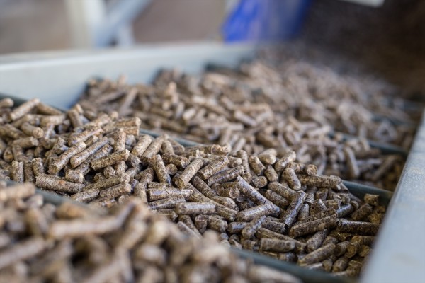Bruselas propone reducir en un 74% la contaminación por microplásticos de los pélets