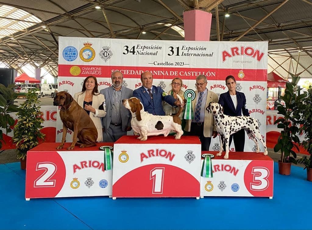 El Certamen de Belleza Canina internacional reúne a más 4.000 personas en Castelló  