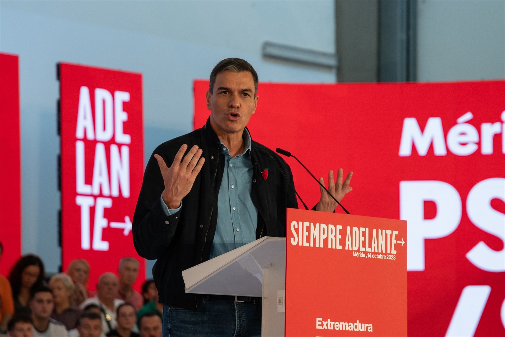 Pedro Sánchez. Foto: ANDRÉS RODRÍGUEZ/EP - 