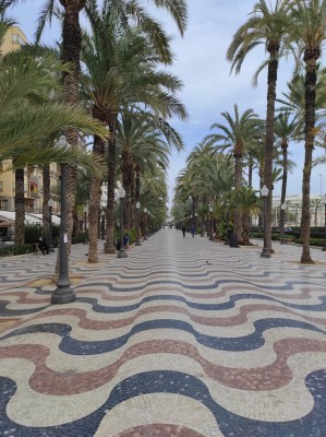 Todo lo que no sabes 
de la Explanada de Alicante