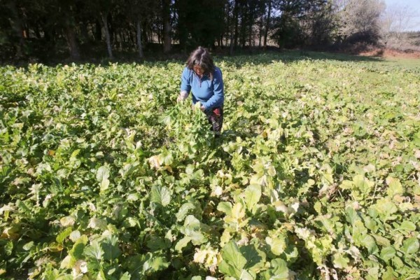 Unión de Uniones emprende acciones legales contra el Gobierno por incumplir sus propias leyes