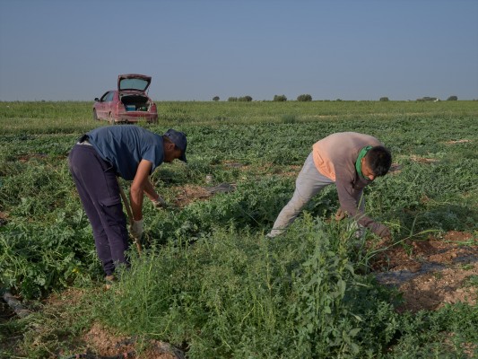 El despertar de la Europa rural