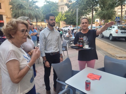El Ayuntamiento de Castelló solicita un estudio para evaluar los picores causados por árboles 