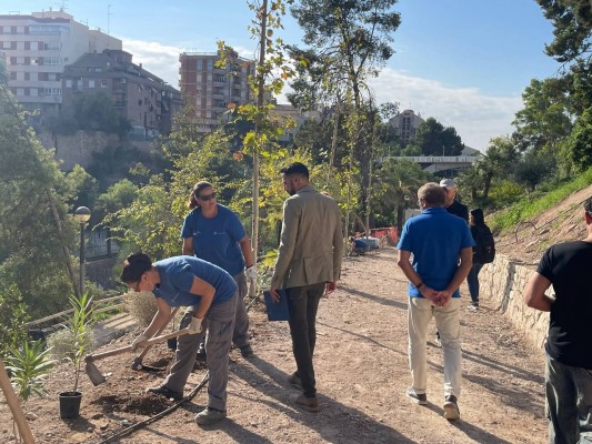Elche acondicionará el acceso a la ladera del río Vinalopó por el puente de Santa Teresa